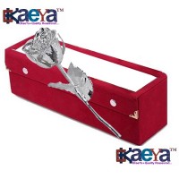 OkaeYa Valentine Gift Natural Rose Silver Dipped 28 Cm With Beautiful Red Velvet Gift Box